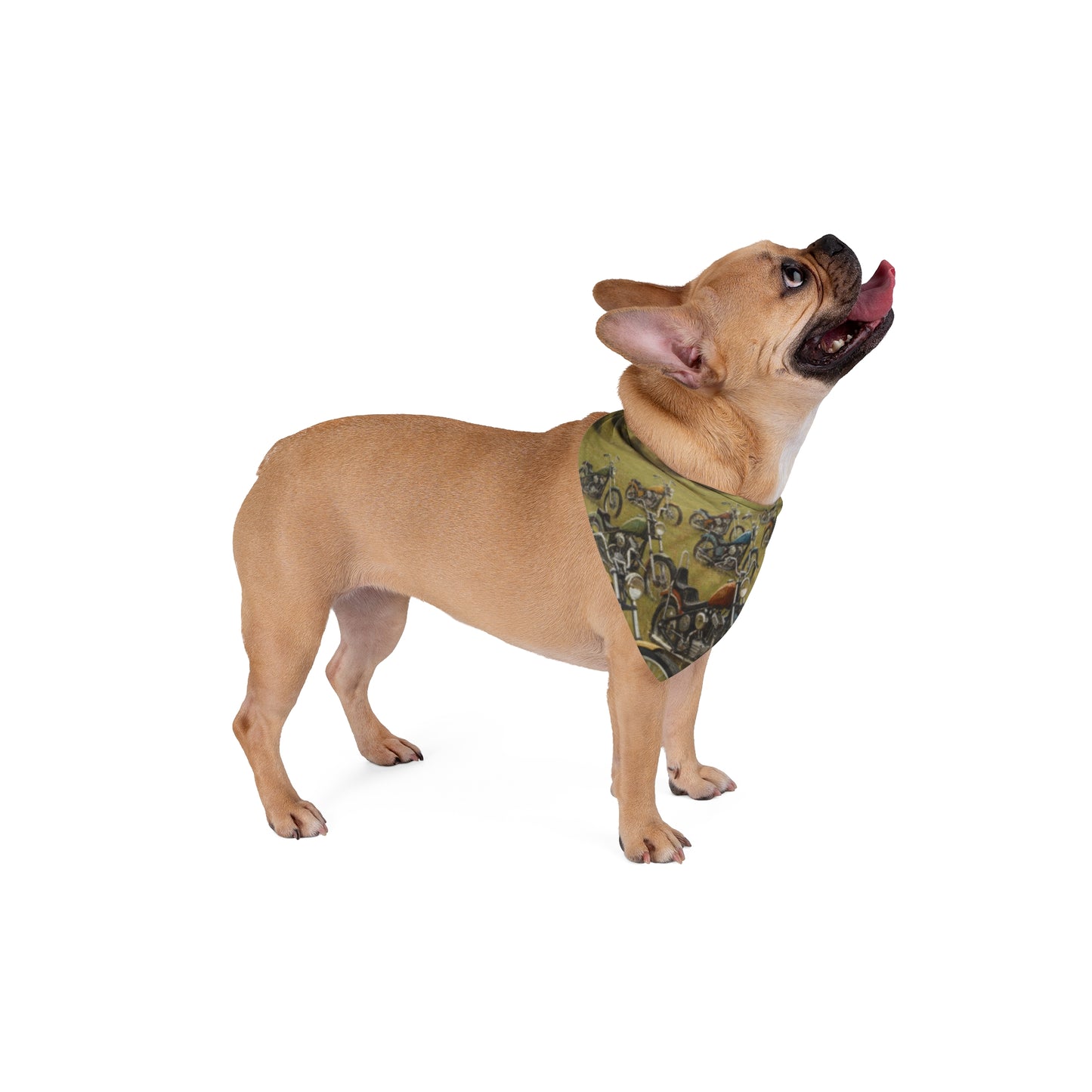 Wild Motorcycles Pet Bandana