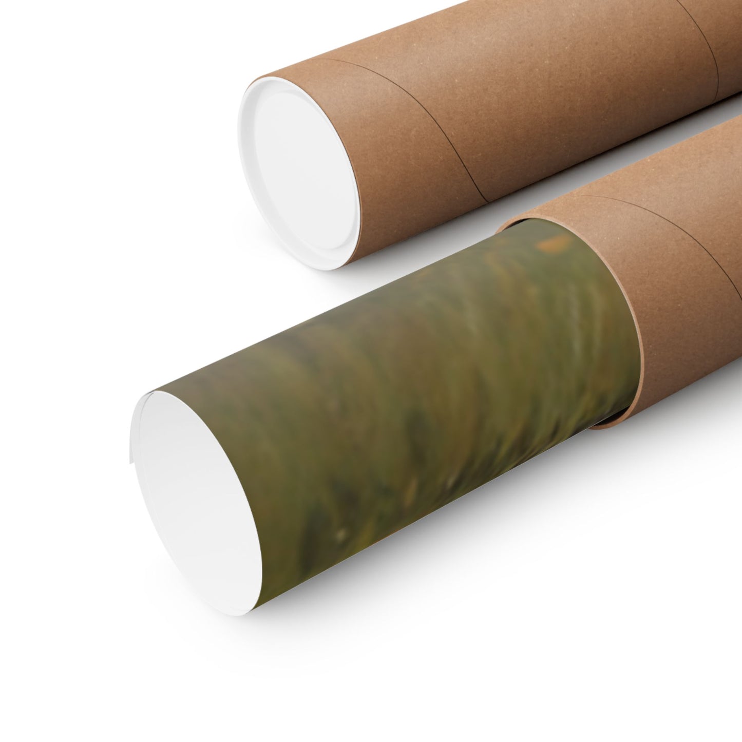 Wild Motorcycles Print