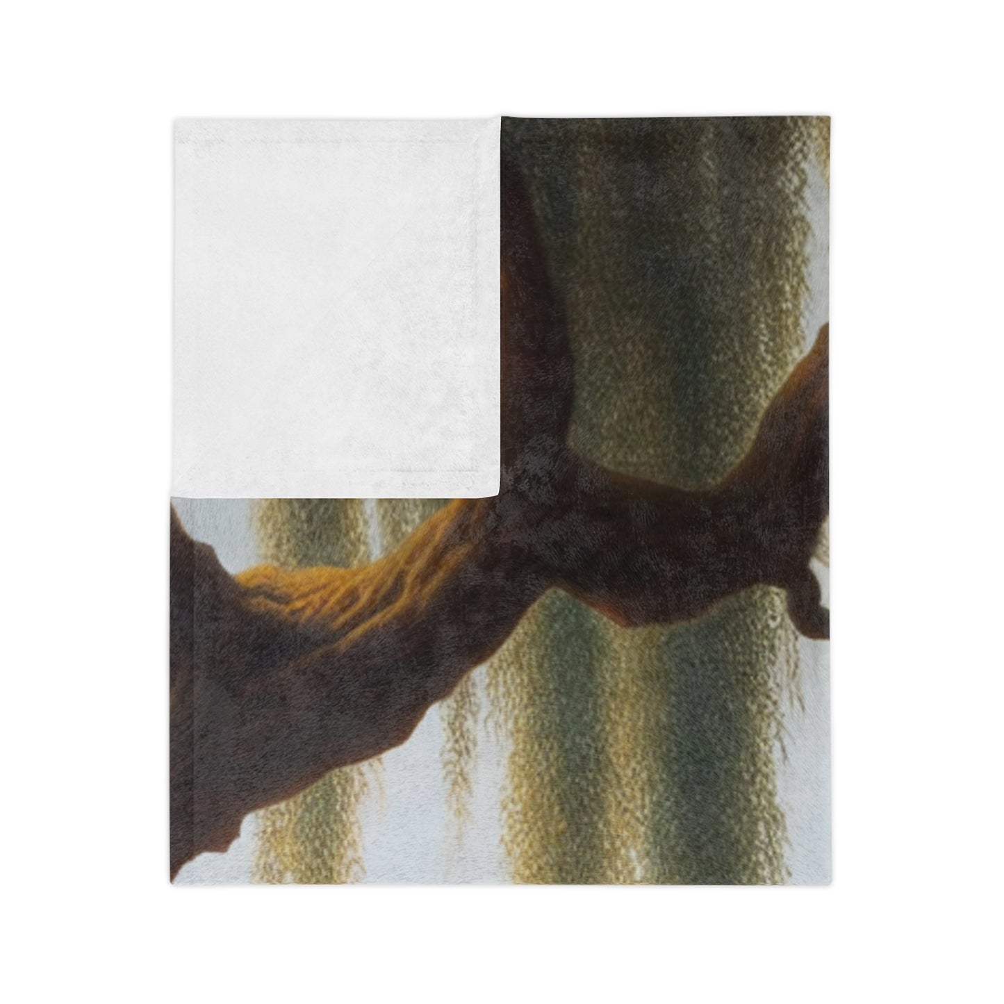 Vermeer's Vampire Violinists Velveteen Microfiber Blanket